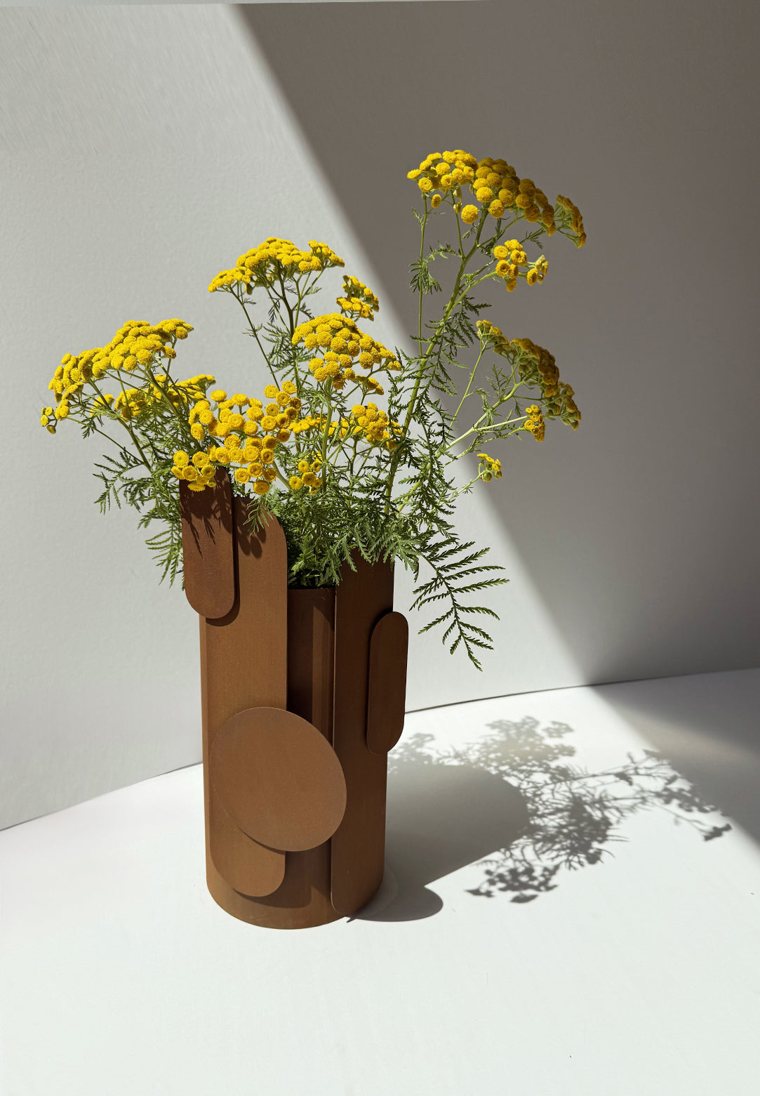 TOTY Corten